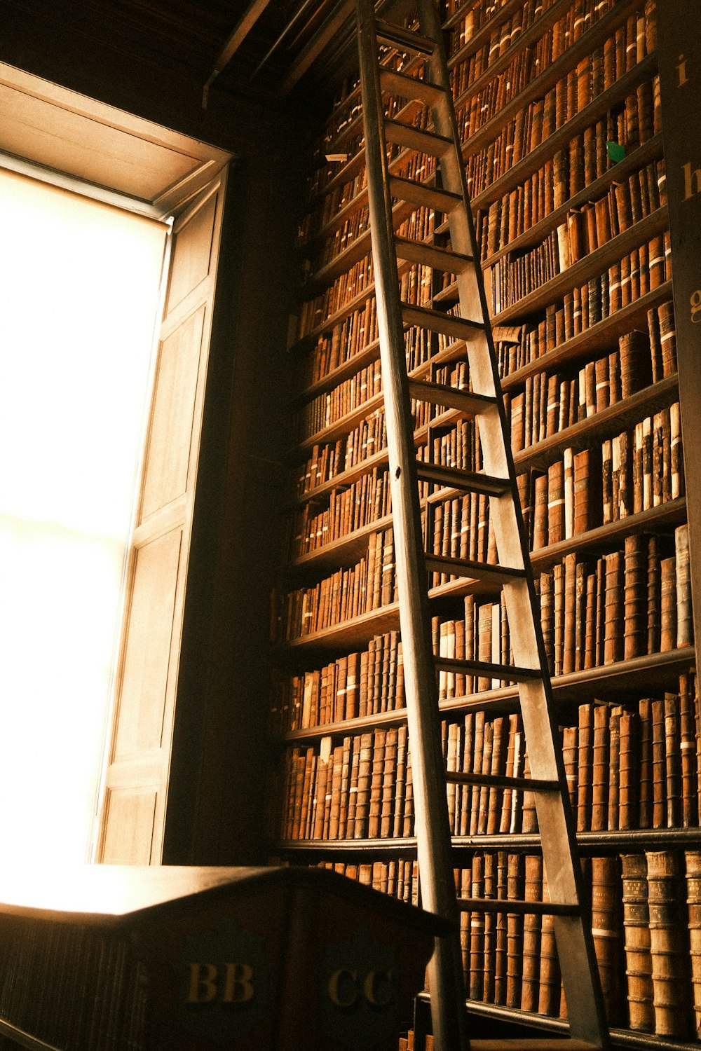 a ladder leaning against a bookshelf in a library