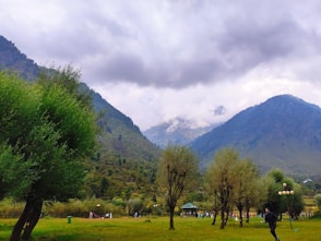 a grassy field with trees and mountains in the background