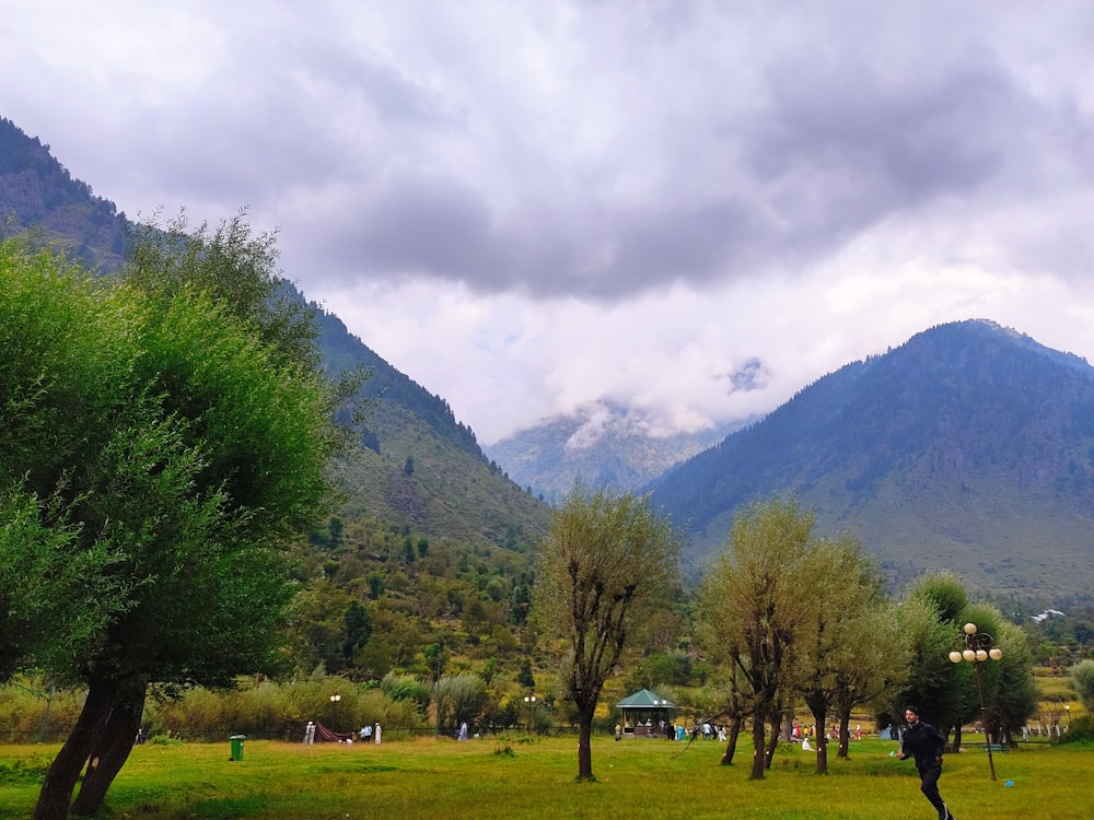 a grassy field with trees and mountains in the background