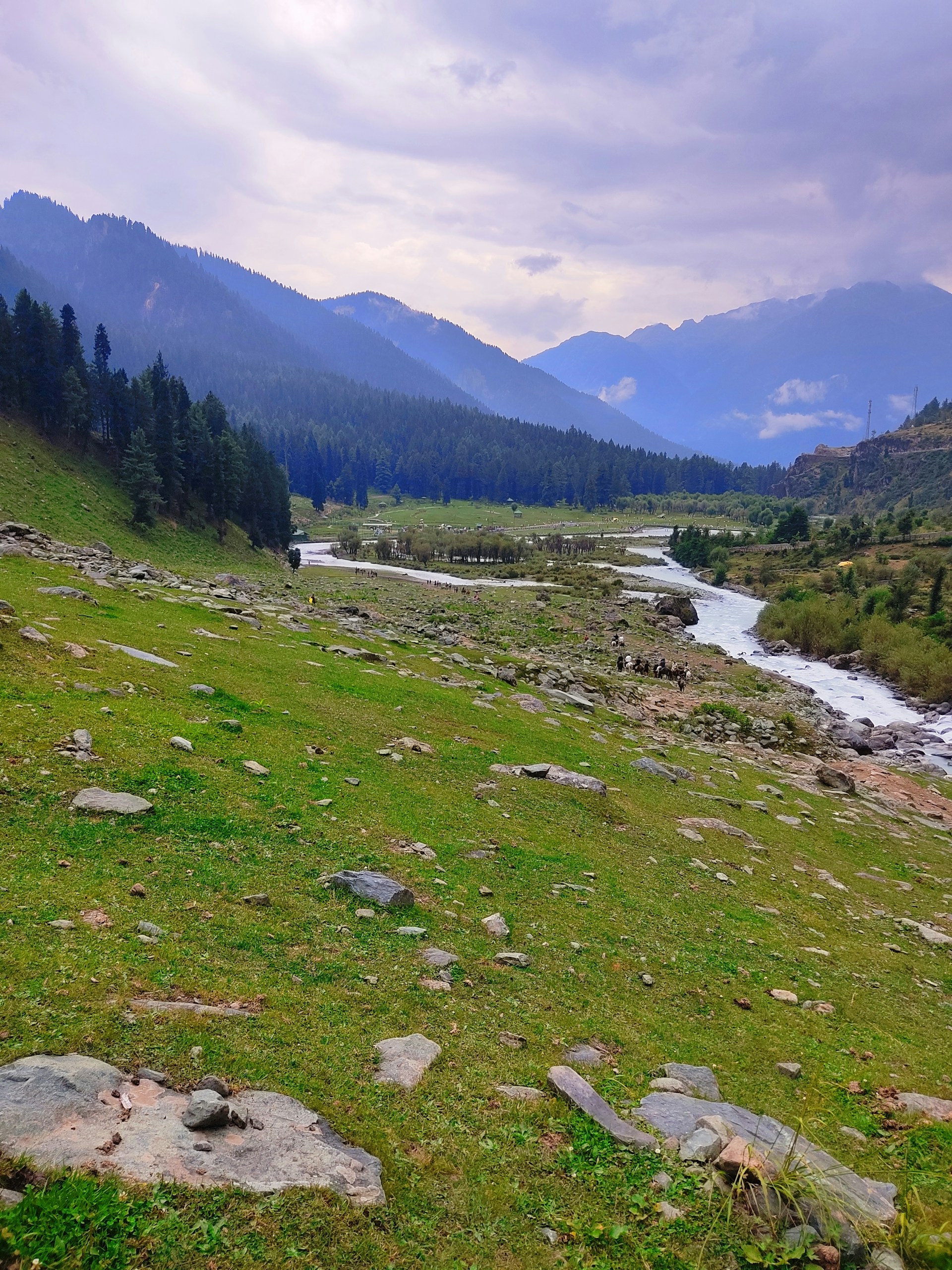a river running through a lush green valley