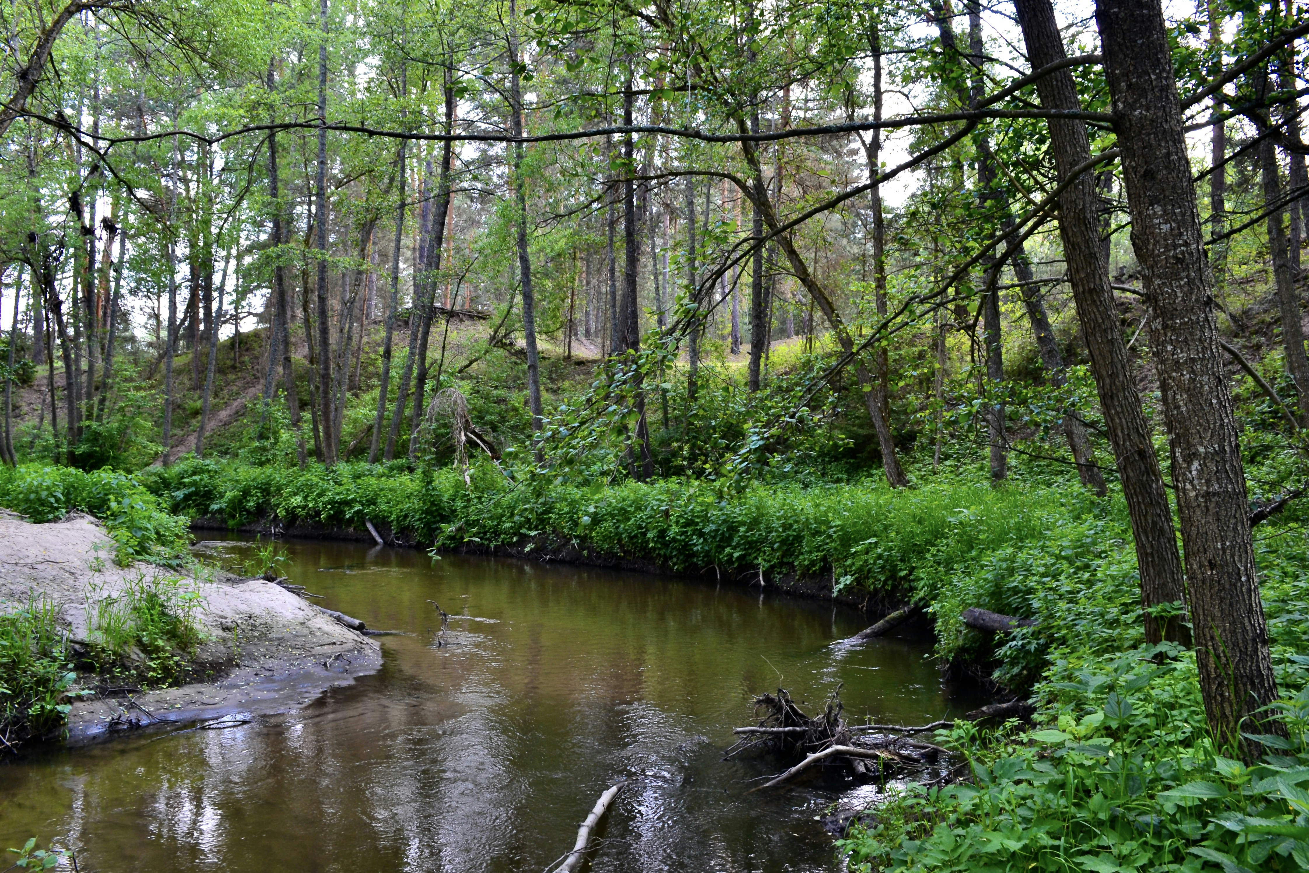 Photo by evgenslavin