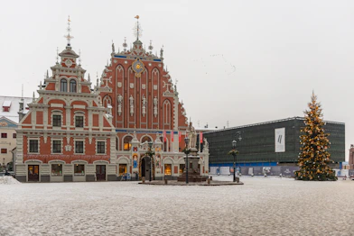 a large building with a christmas tree in front of it