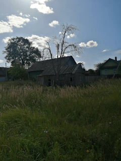 A rustic wooden farmhouse surrounded by lush green fields under a bright blue sky.