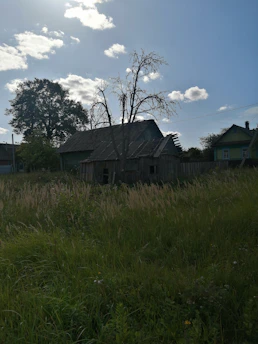 A rustic wooden farmhouse surrounded by lush green fields under a bright blue sky.