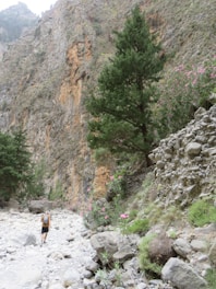 A hiker checking a map beside a desert wildflower patch with distant mountains.
