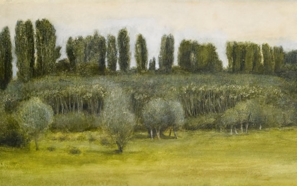 A serene landscape painting featuring a row of tall, slender trees standing against a pale sky. In the foreground, there are shorter, bushy trees and a grassy field, with variations in green tones depicting the lush vegetation. The composition is balanced with a calm atmosphere, suggesting the tranquility of nature.