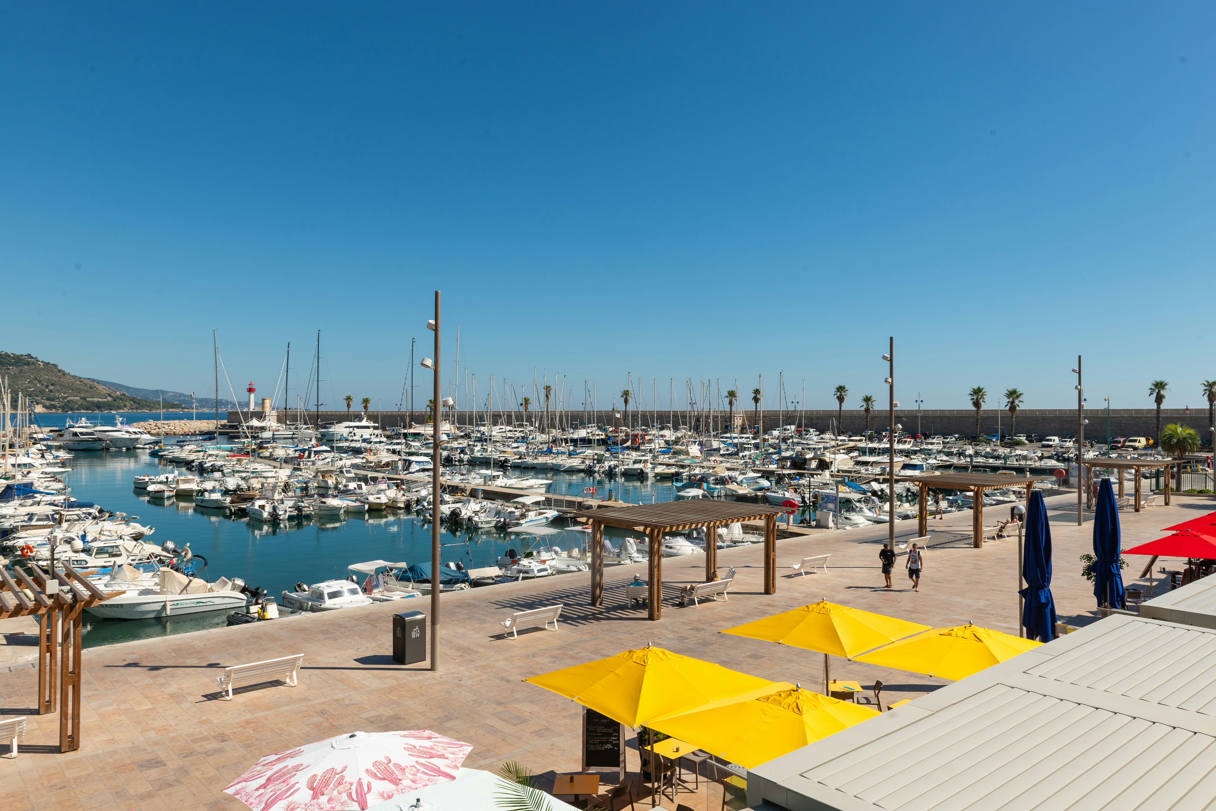 Photo by nikonprophoto