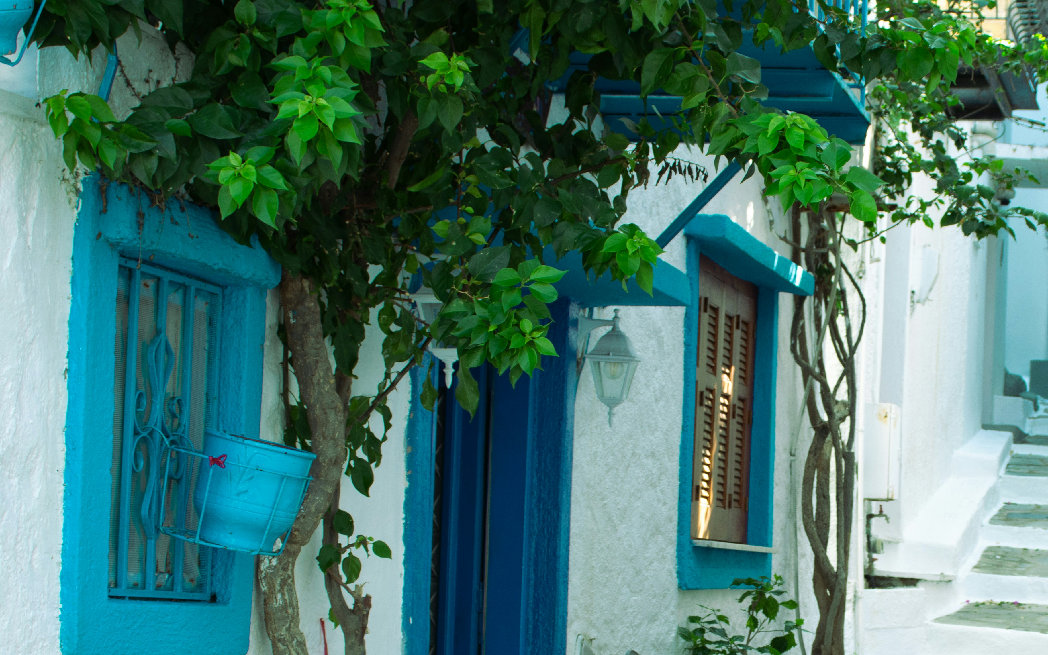 Photo by stratiev_1974