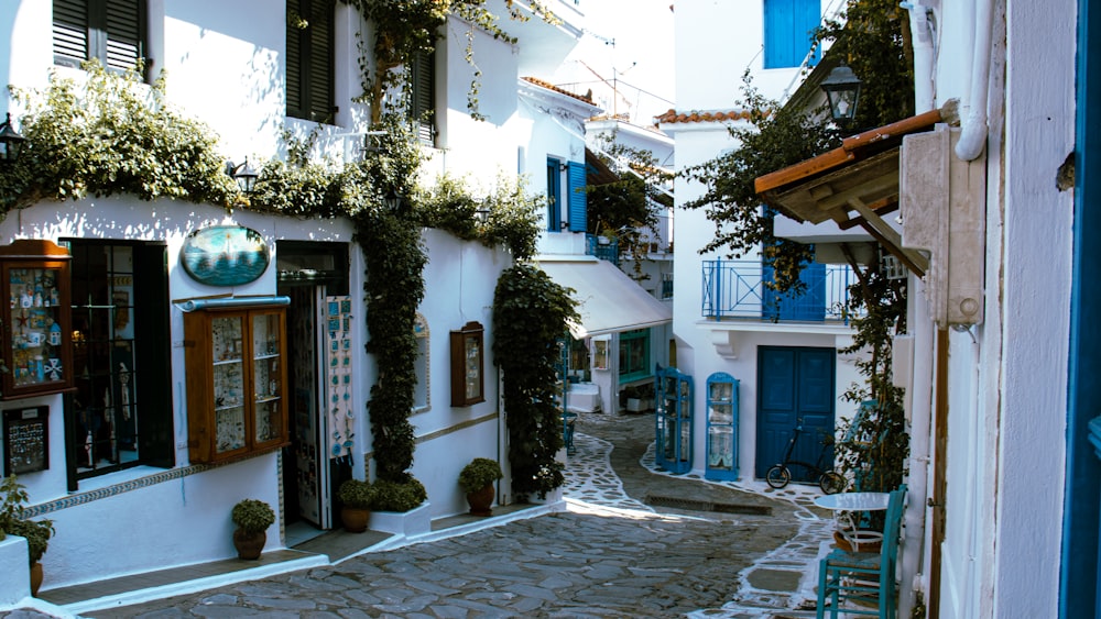 a cobblestone street in a small town