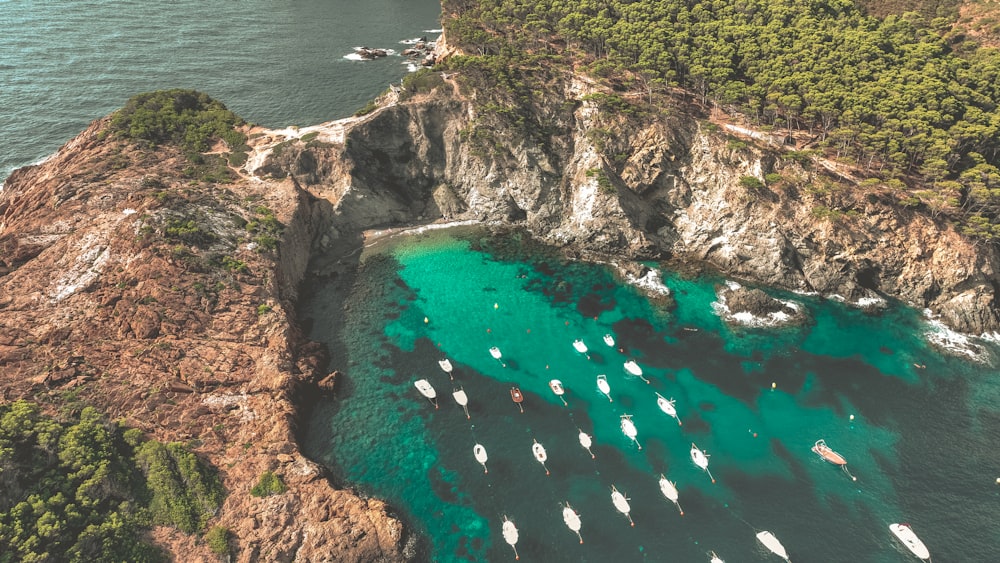 a group of boats floating on top of a body of water