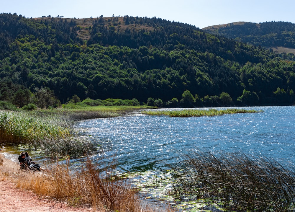 a person sitting on a bench next to a body of water