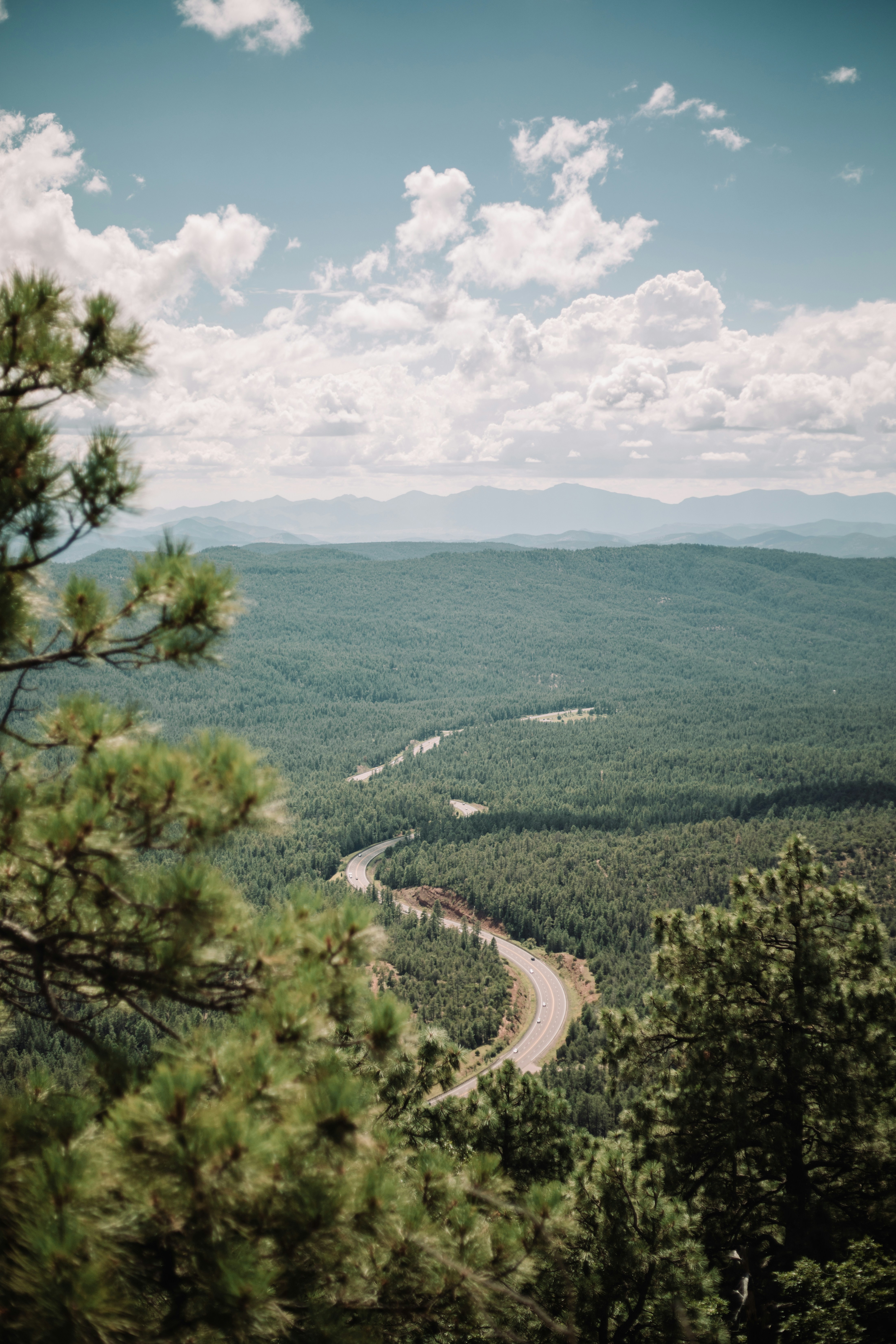 Photo by emilydillstrock