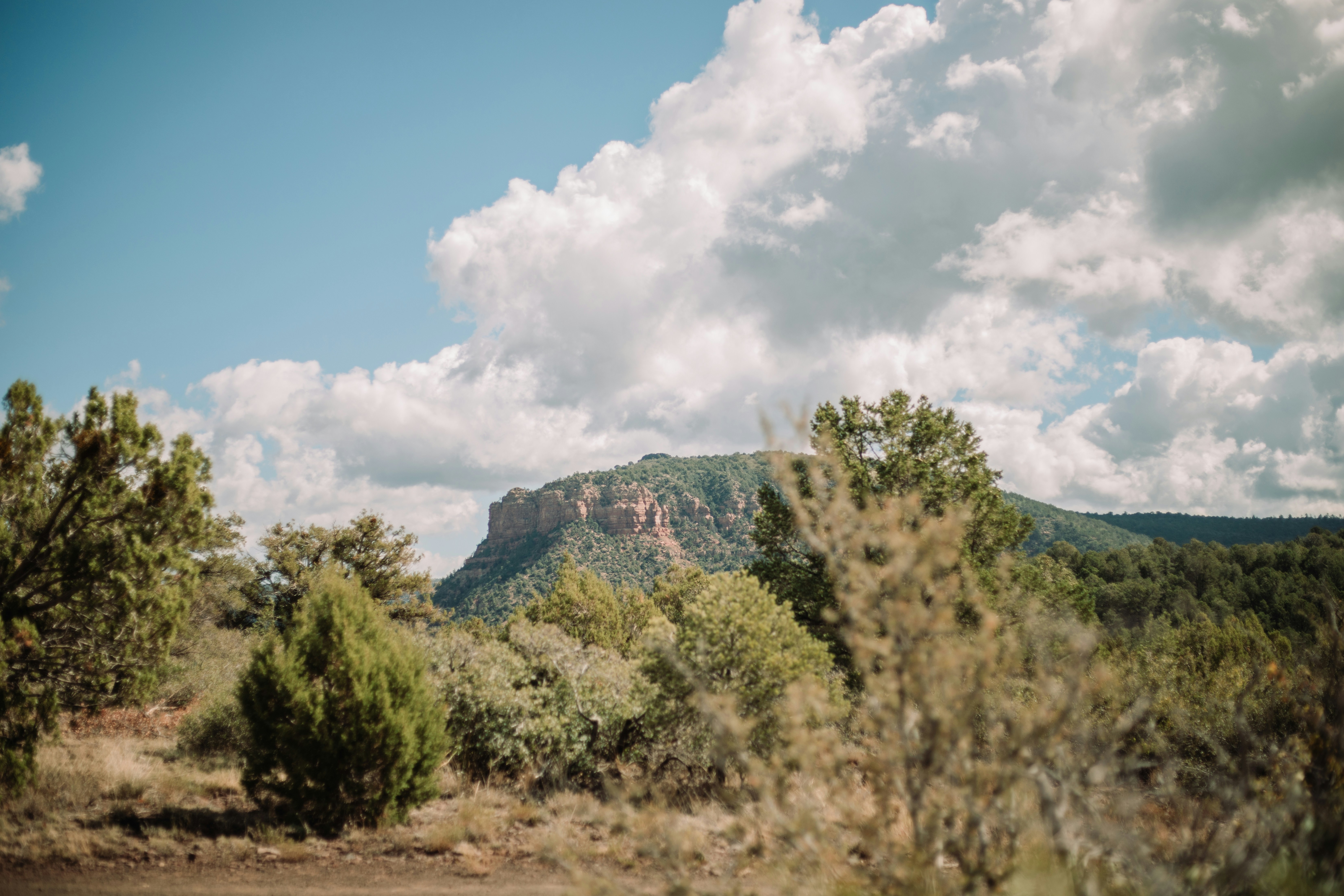 Photo by emilydillstrock