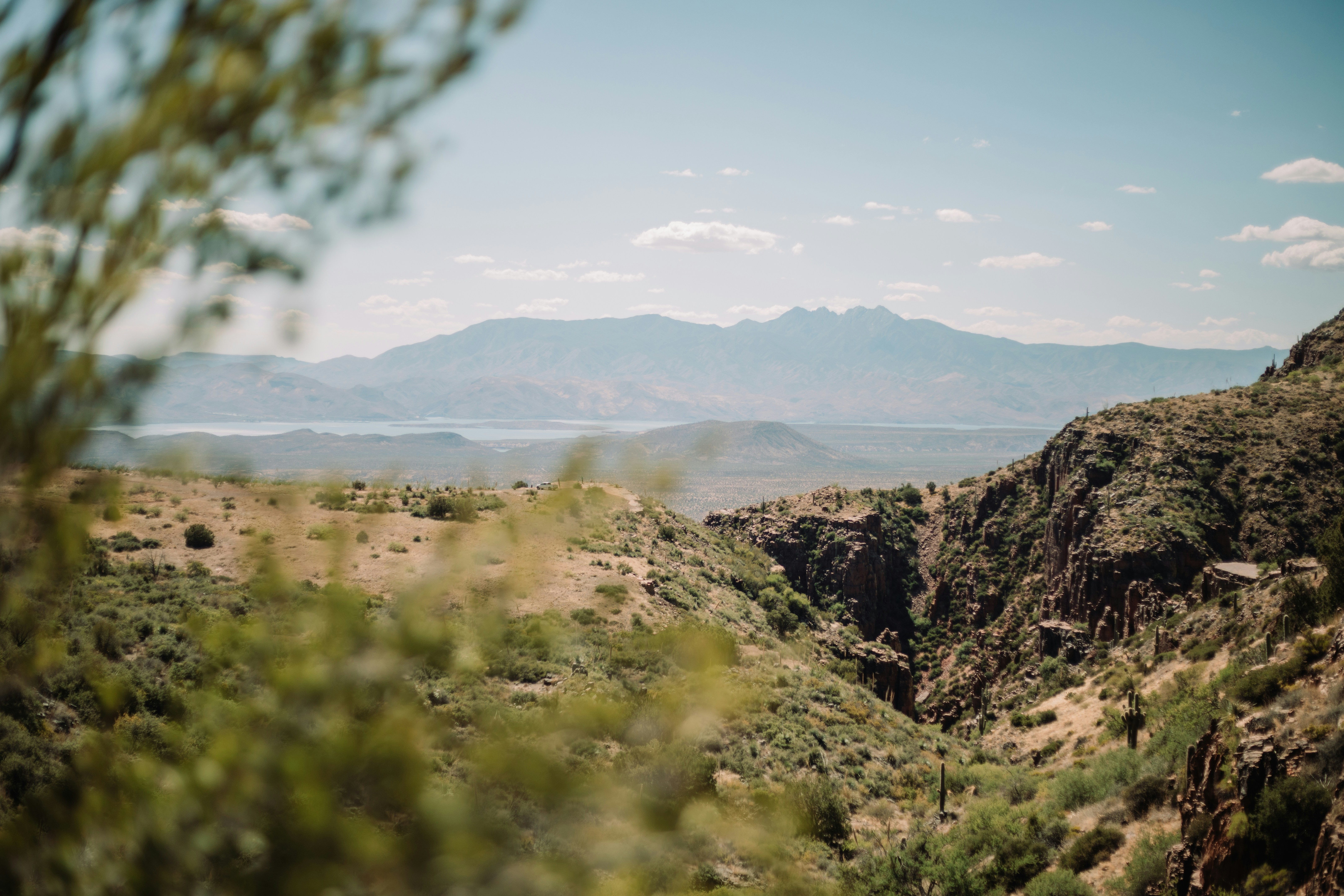 Photo by emilydillstrock