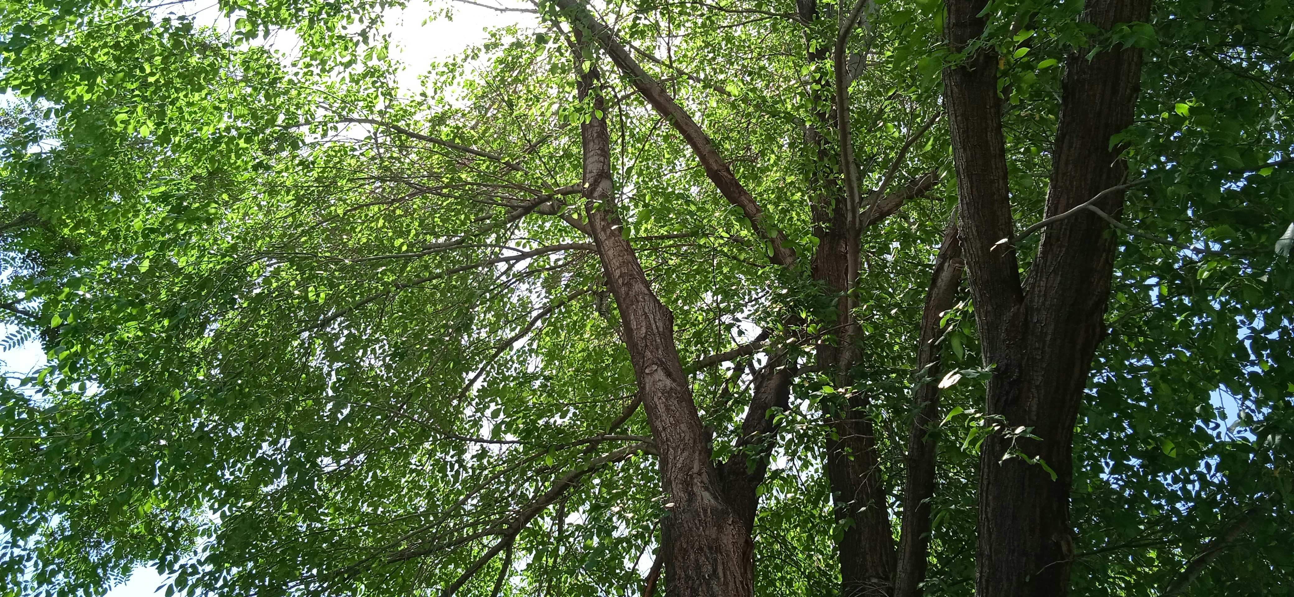 Photo by maryam_goli