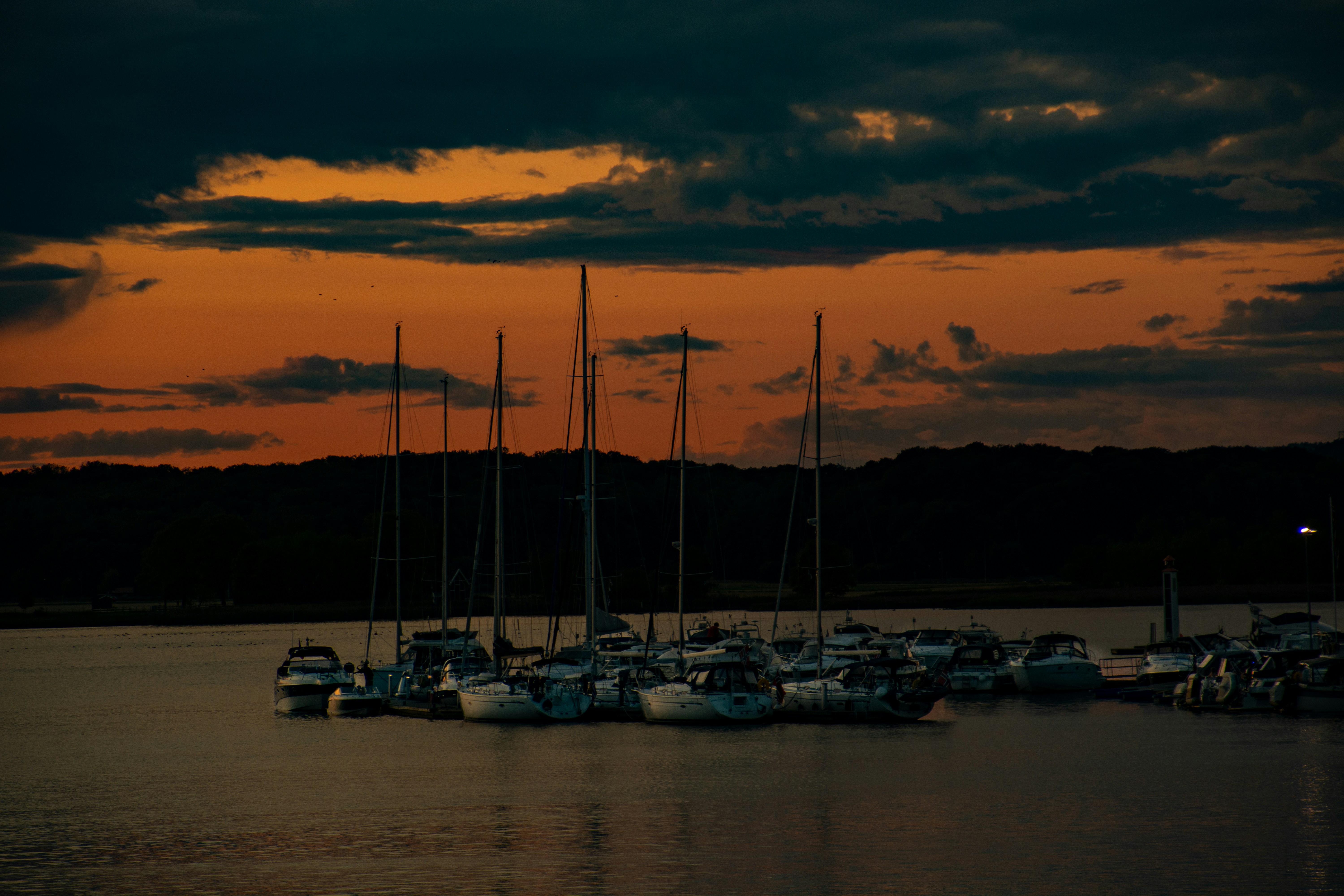 Photo by gunnarridder