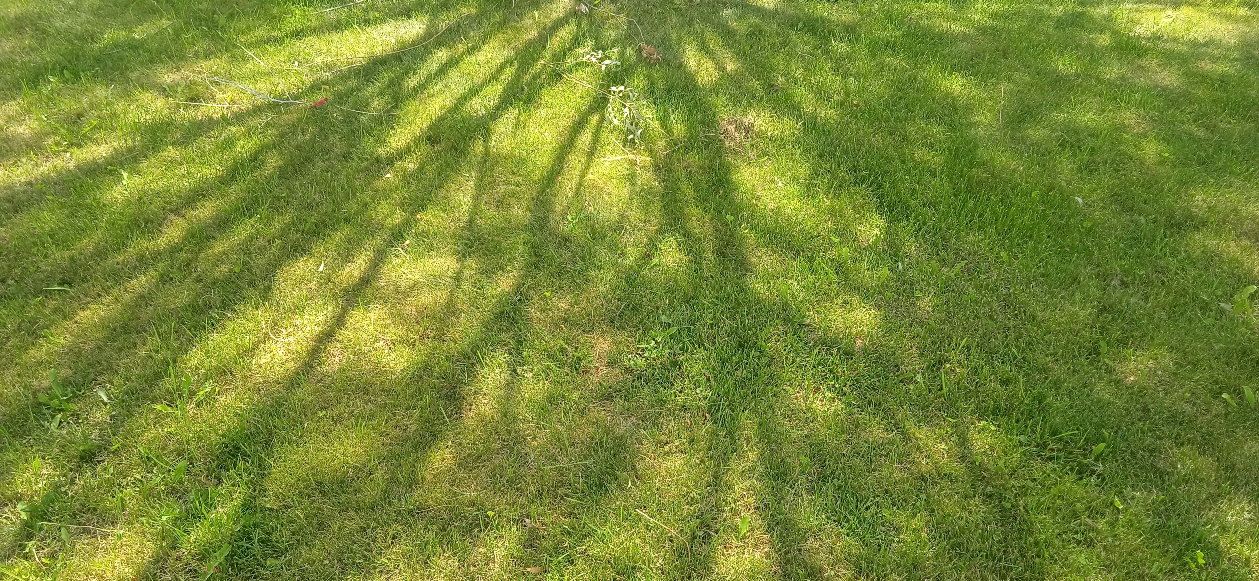 Photo by maryam_goli