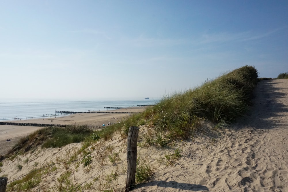 a wooden fence on a sandy beach near the ocean