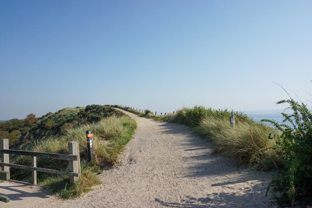 a path leading to the beach on a sunny day