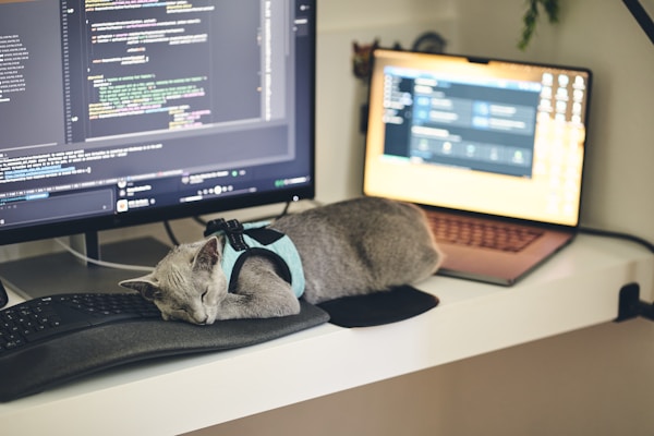Productos sostenibles y pet tech