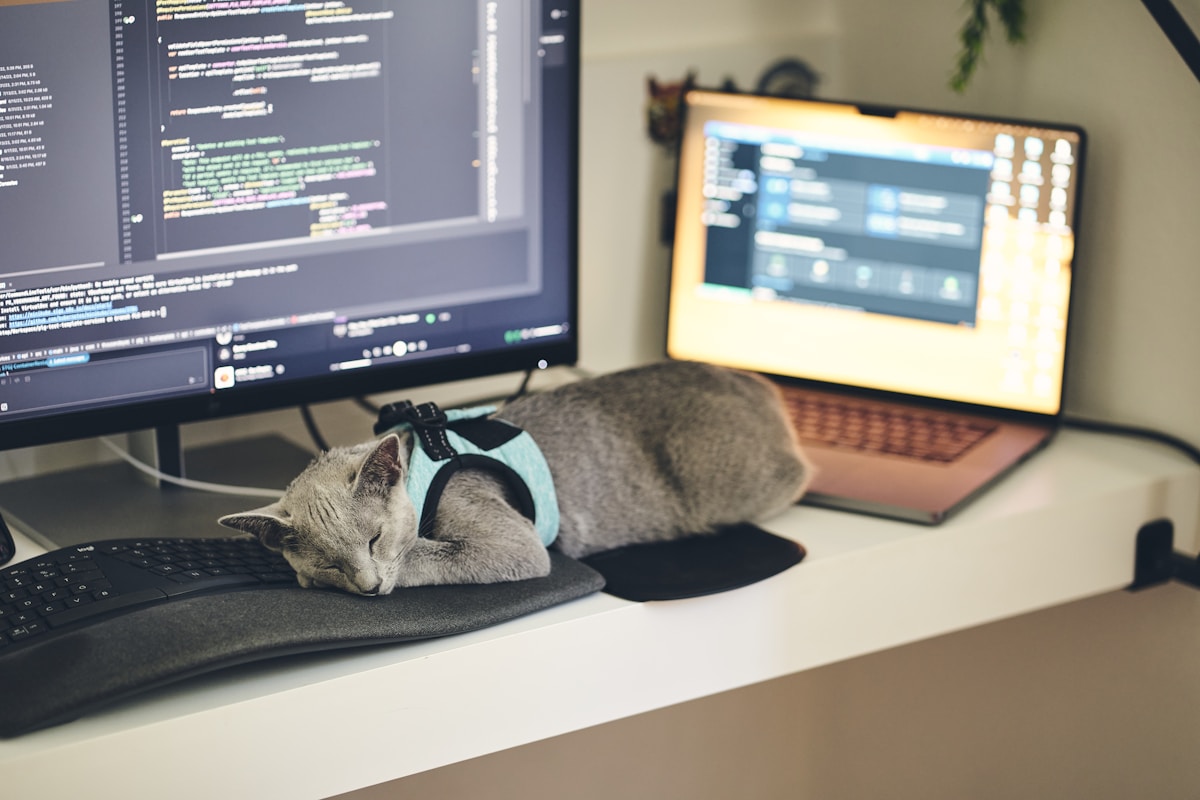 Tecnología y sostenibilidad en el cuidado de mascotas