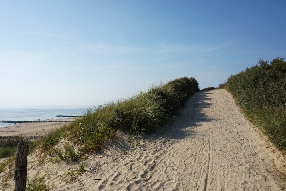 a sandy path leading to the ocean on a sunny day