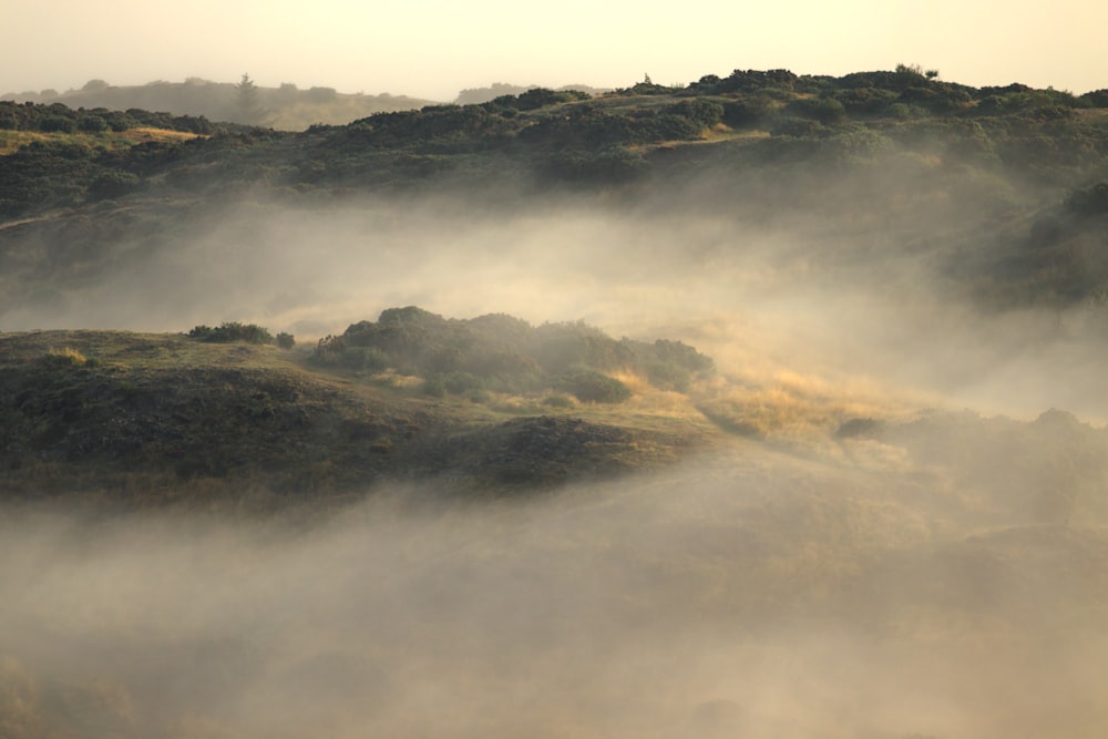 a hill covered in fog with trees in the background