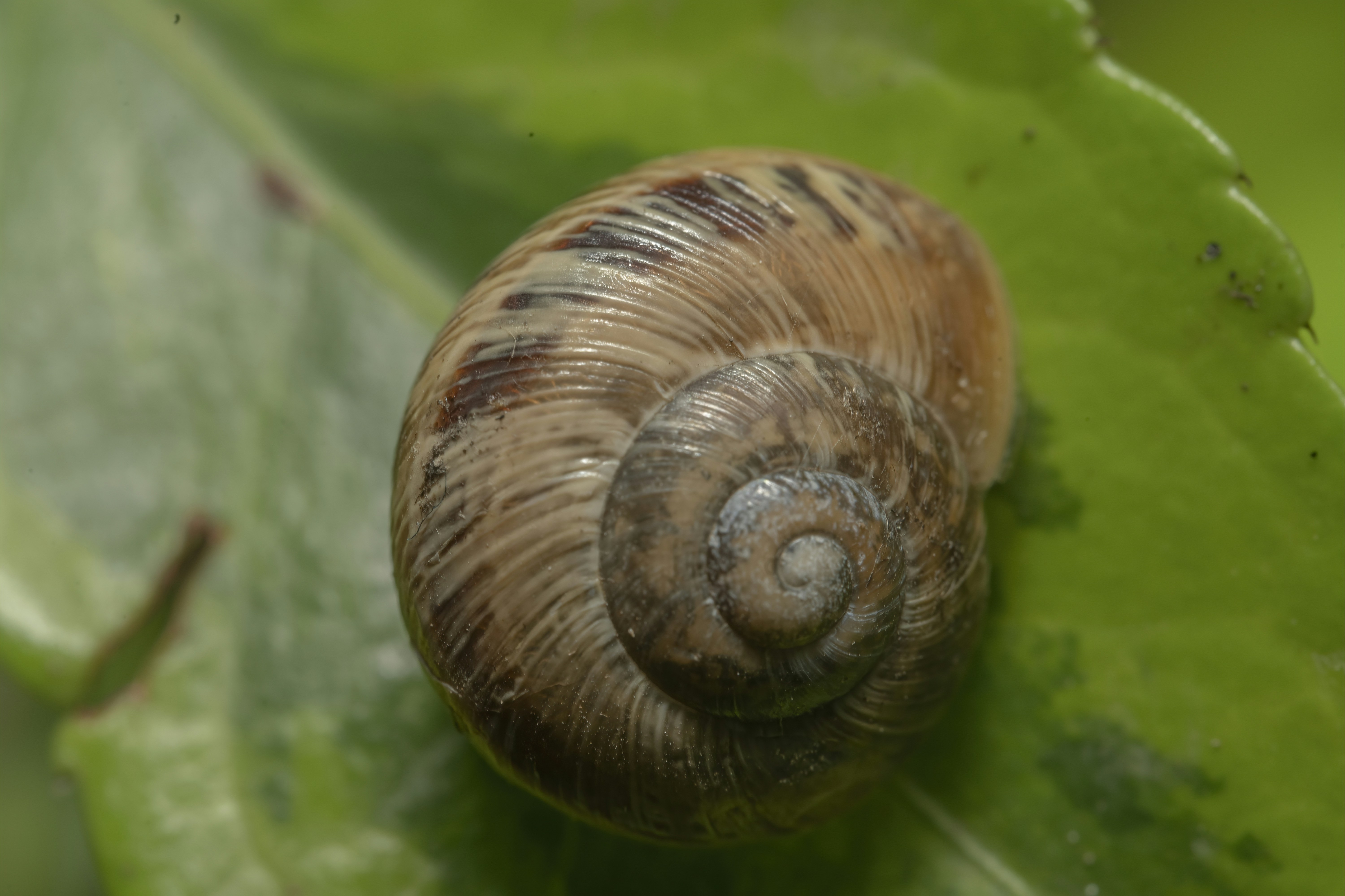 Photo by akbarnemati