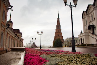 A scenic view of Winter Garden's historic downtown area.