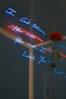 Neon text in blue and red on a dark background, with the words 'I Can't Believe How Much I Loved You' partially visible. A red rose is slightly out of focus in the foreground, contributing to the image's depth.