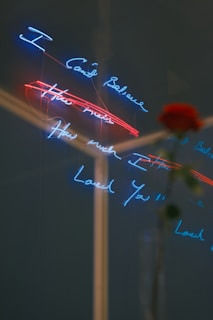 Neon text in blue and red on a dark background, with the words 'I Can't Believe How Much I Loved You' partially visible. A red rose is slightly out of focus in the foreground, contributing to the image's depth.