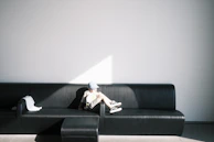 A satisfied customer relaxing on a freshly cleaned sofa.