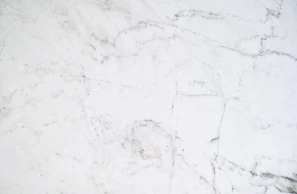 Sophisticated sage accent detail on a smooth off-white surface, highlighting purity in design