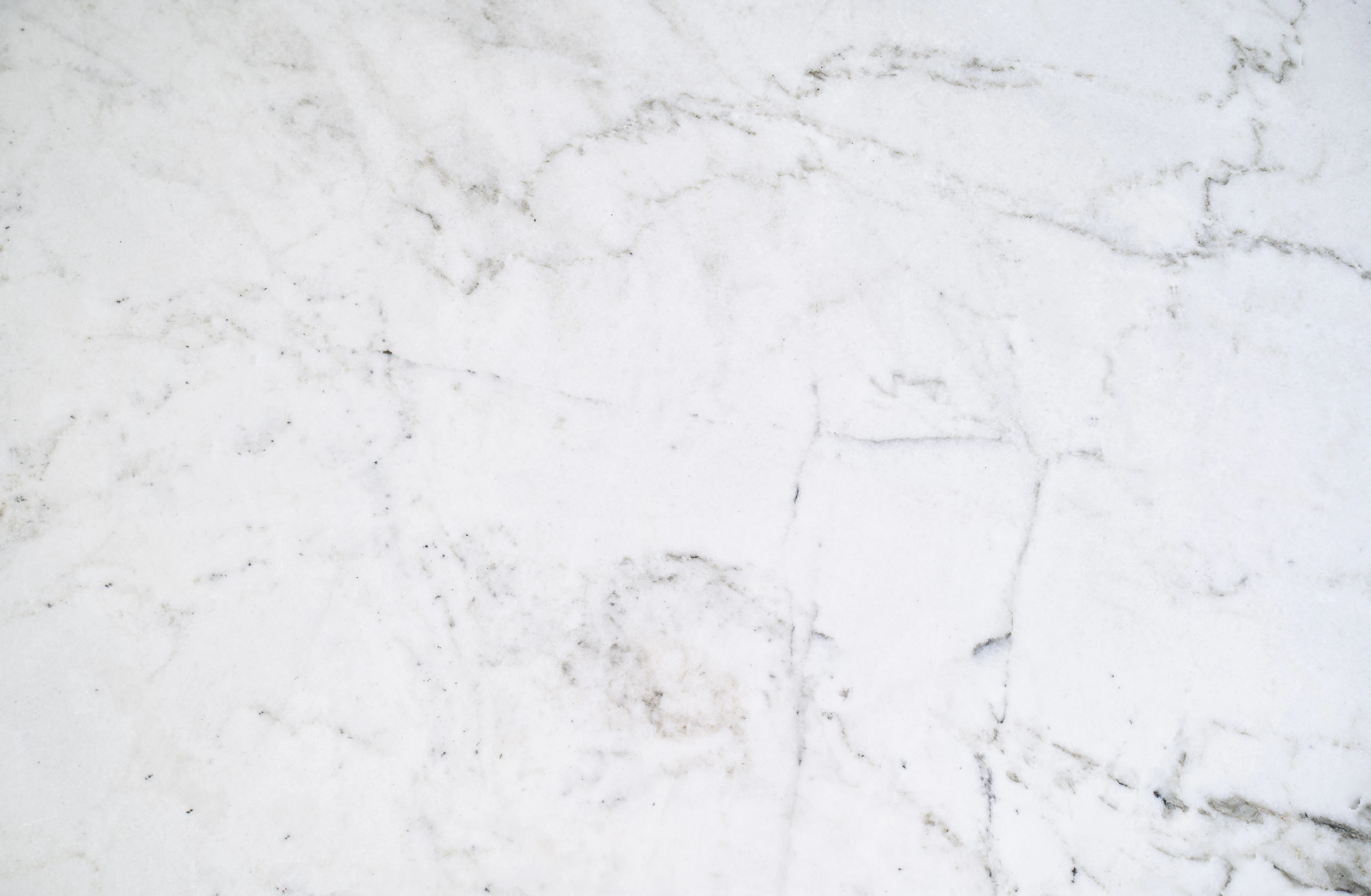 Representative photo: bright white marble with fine veins