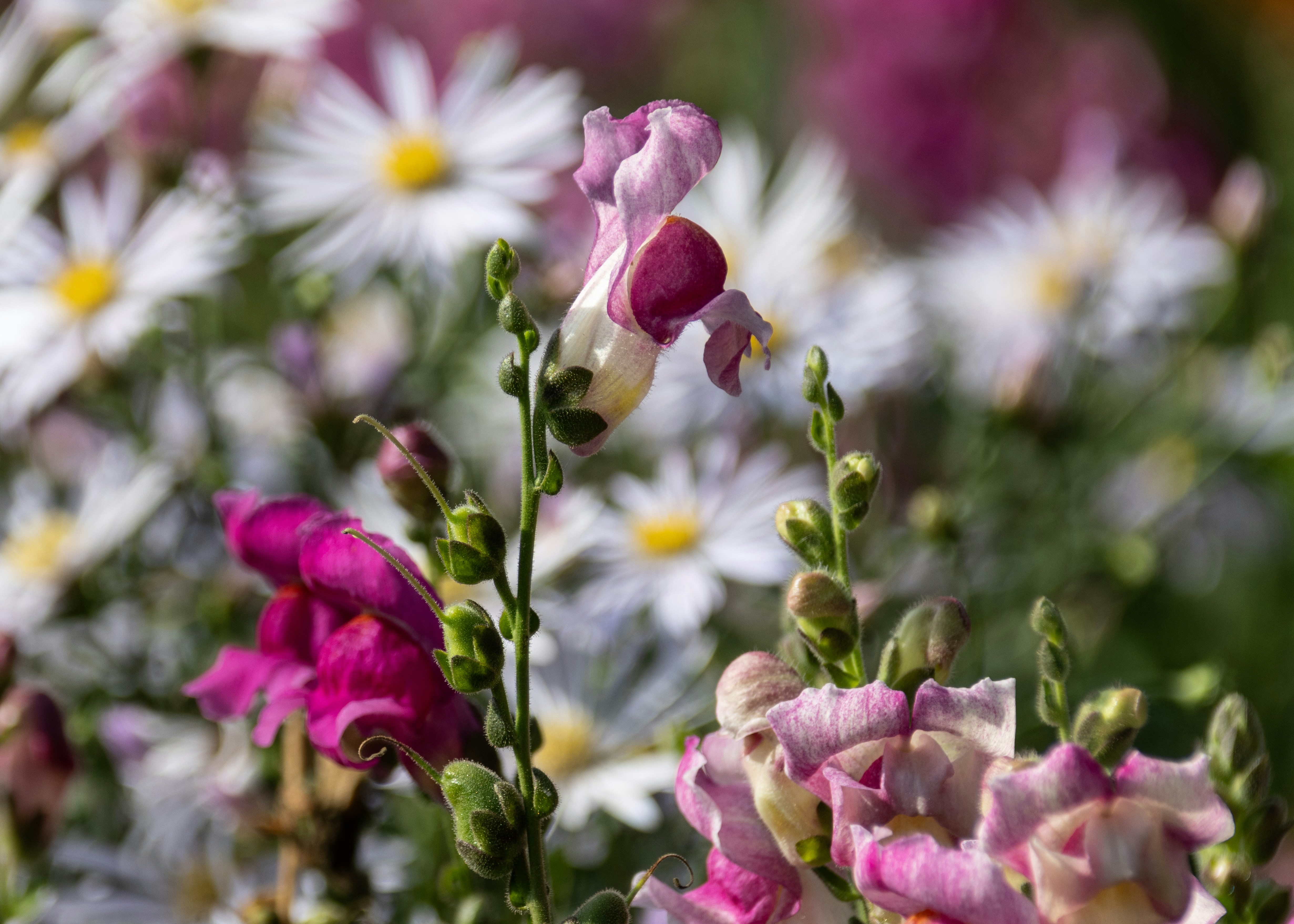 Photo by kevinhessey