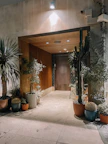 Entrance hallway decorated with plants and soft lighting.