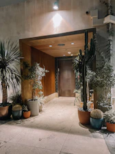 Entrance hallway decorated with plants and soft lighting.