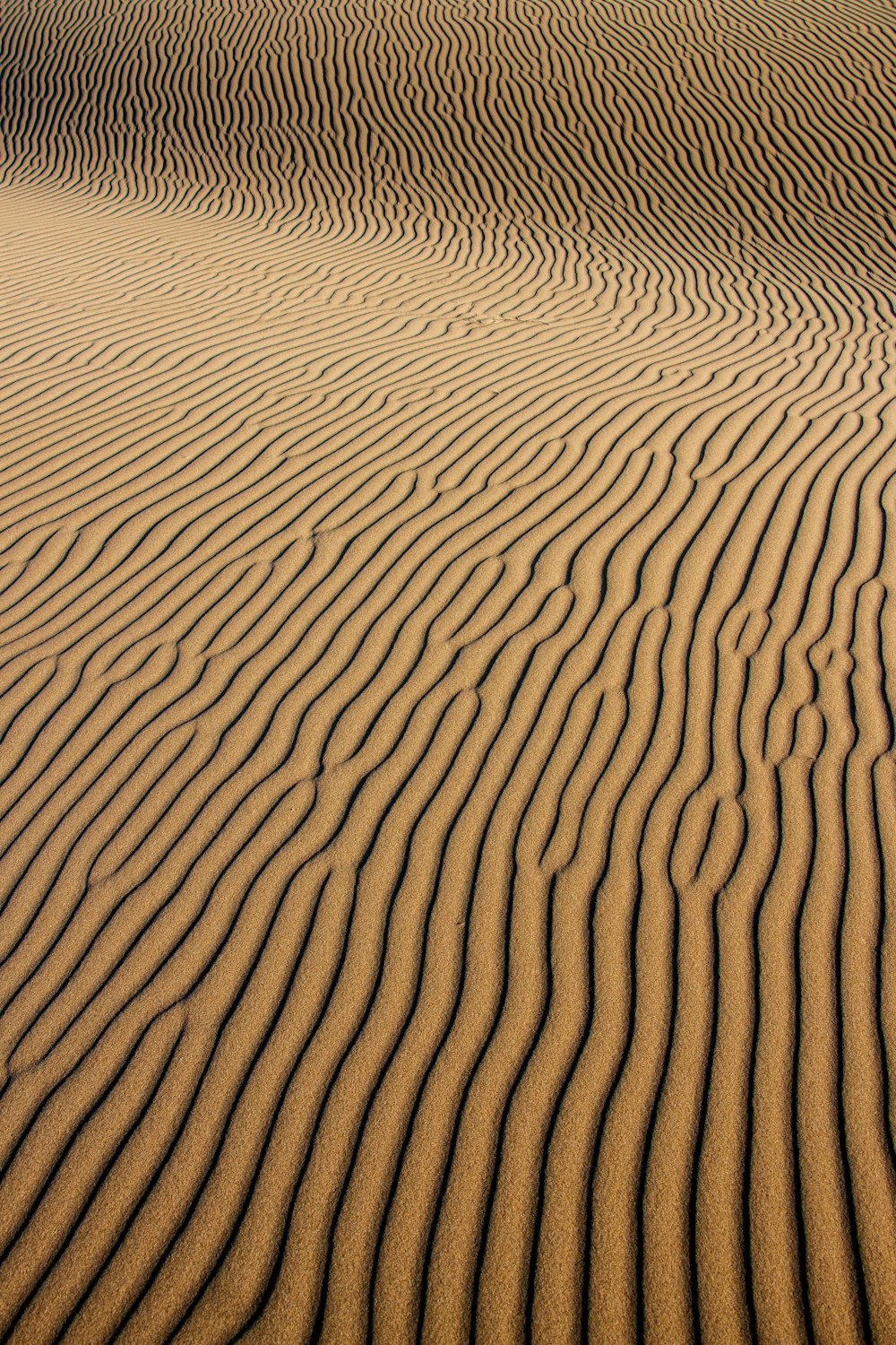 a sandy area with wavy lines in the sand