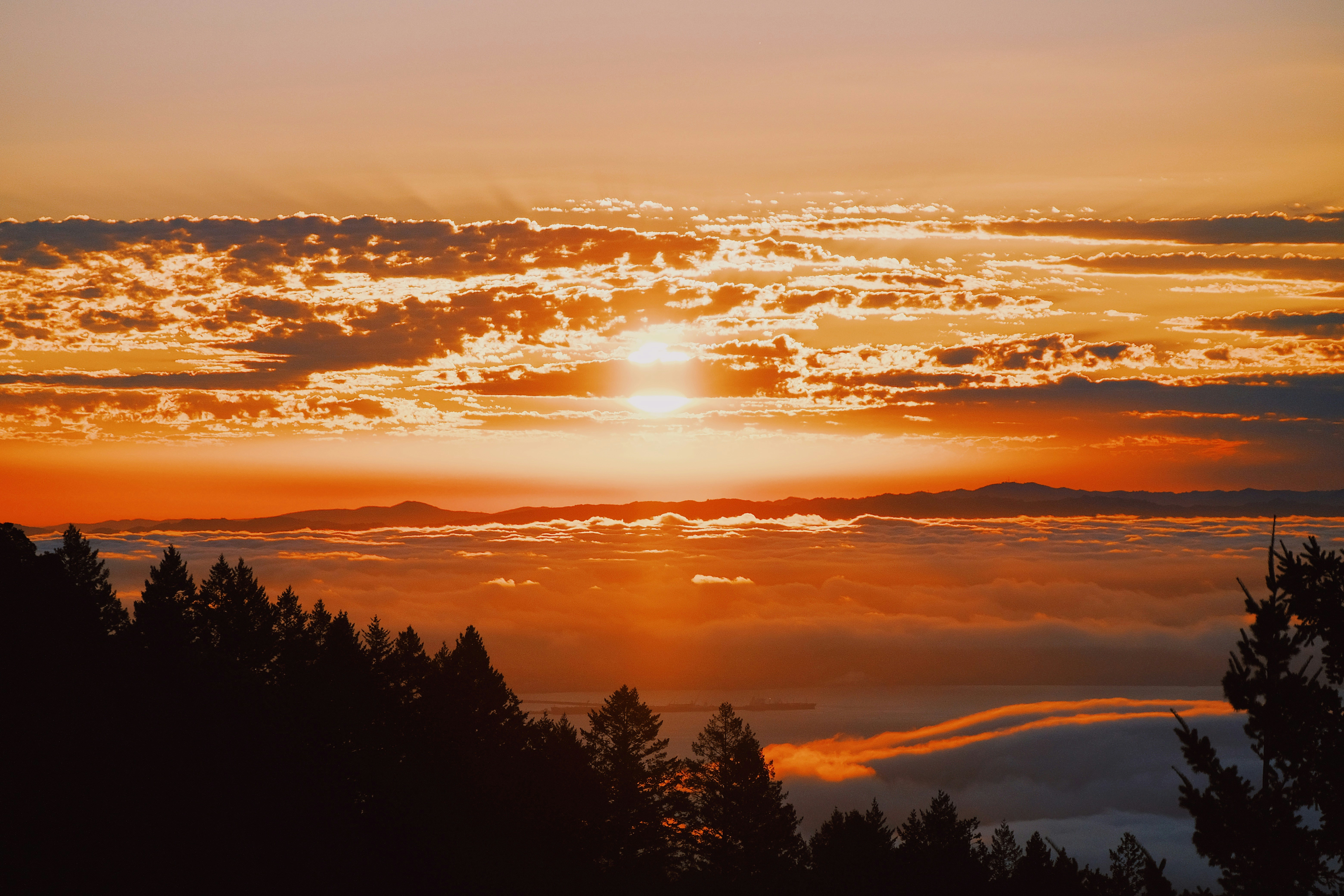 DPS 周刊 114 - 回家陪父母