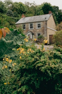 Exterior of a rustic stone house surrounded by greenery.