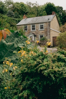 Exterior of a rustic stone house surrounded by greenery.