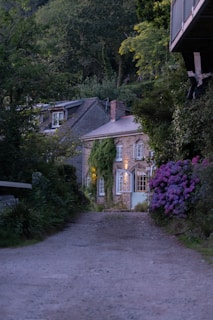 A quaint, rustic house is nestled amidst lush greenery and vibrant flowers. The stone facade is complemented by ivy trailing over the walls. Soft lighting emanates from the windows, creating a warm and inviting atmosphere. The pathway leading to the house is unpaved, surrounded by dense foliage on either side.