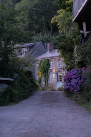 A quaint, rustic house is nestled amidst lush greenery and vibrant flowers. The stone facade is complemented by ivy trailing over the walls. Soft lighting emanates from the windows, creating a warm and inviting atmosphere. The pathway leading to the house is unpaved, surrounded by dense foliage on either side.