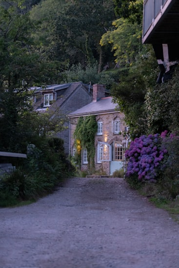 Stone Cornish cottage in a leafy, hydrangea-filled garden at dusk