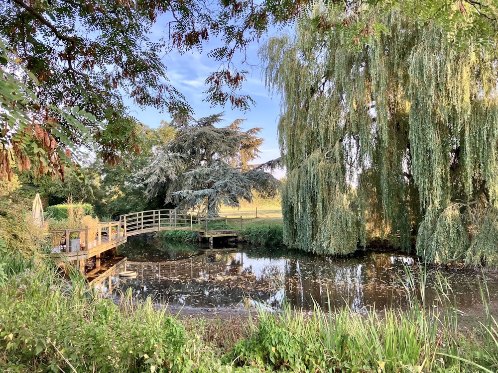 a bridge over a small pond in a park