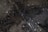 A dark marble surface featuring intricate patterns and veining with a combination of earthy and white tones. The texture is smooth with natural cracks and a polished finish.