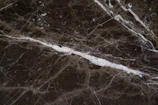 Close-up of a matte black marble slab with subtle gold veining under soft, warm lighting.
