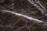 A close-up view of a dark marble surface featuring intricate white veining patterns. The texture appears smooth with a glossy finish. The marble displays a natural, earthy color palette.