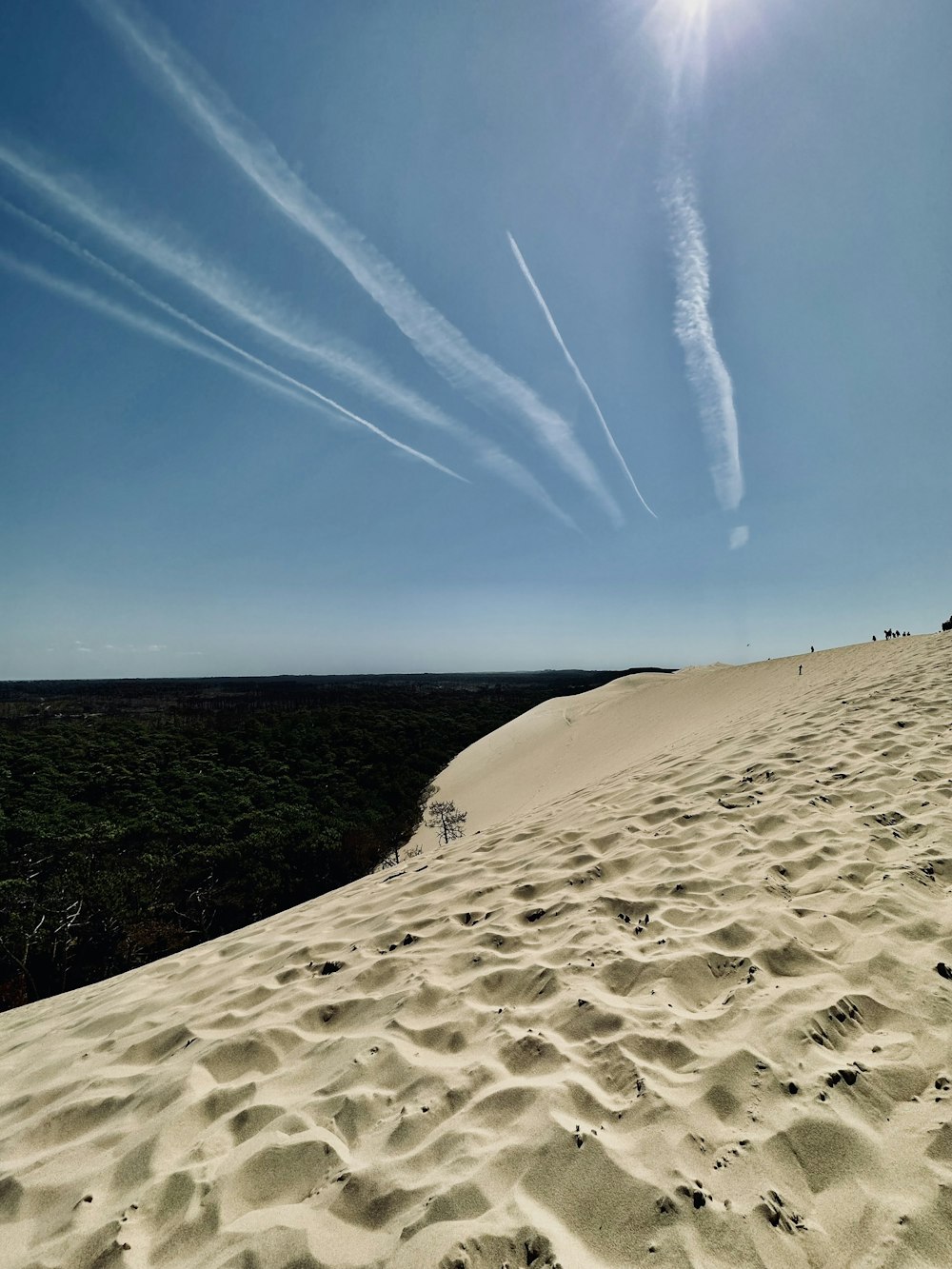 the sun is shining over a sandy beach