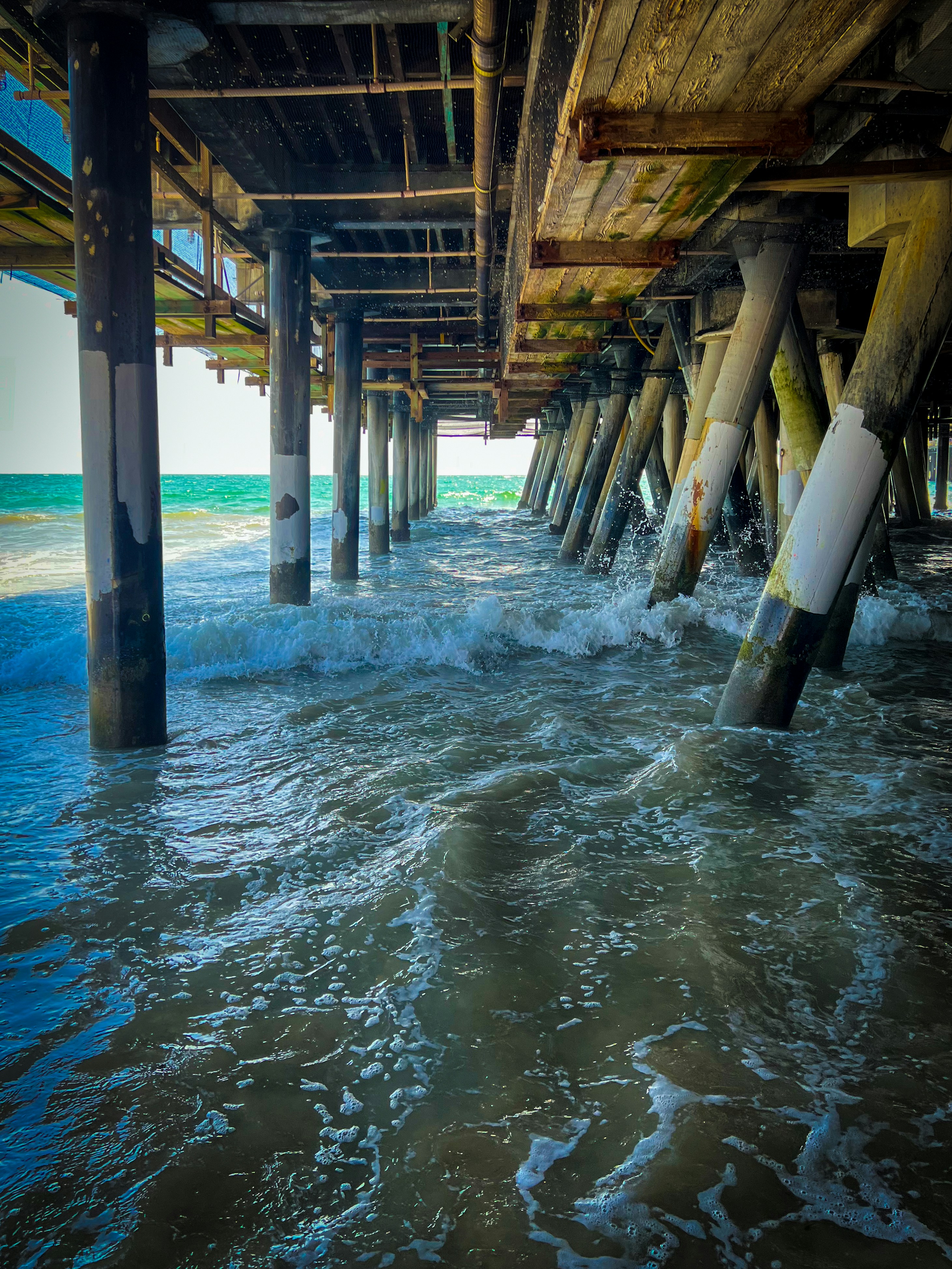 Photo by frankielopez